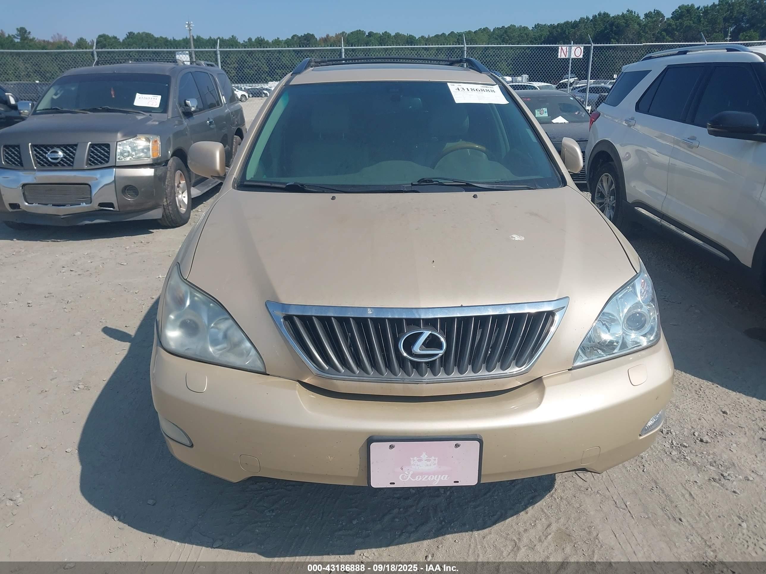 2009 Lexus Rx 350   Gold vin: 2T2HK31U39C124133