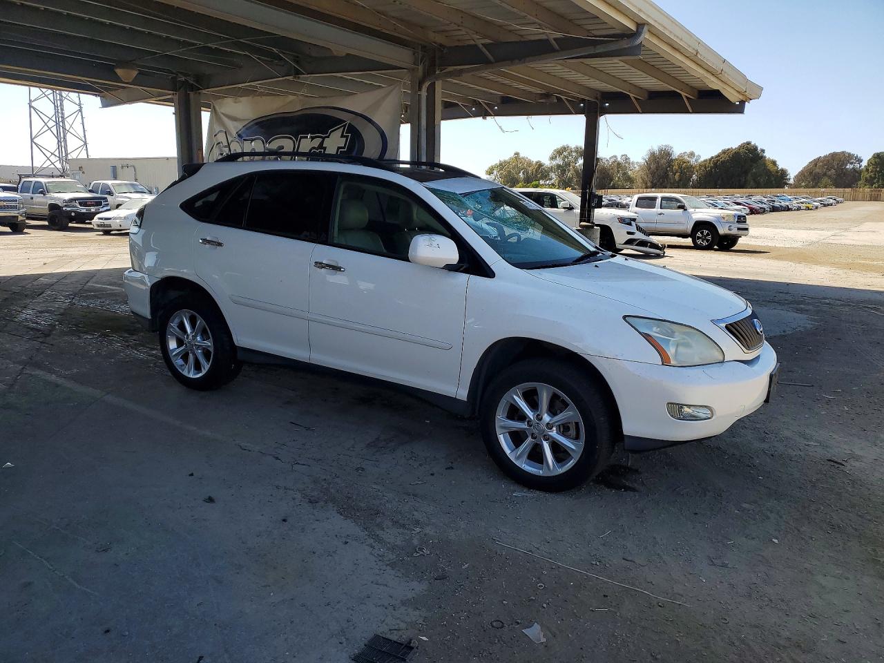 2009 Lexus Rx 350 White vin: 2T2HK31U59C101002