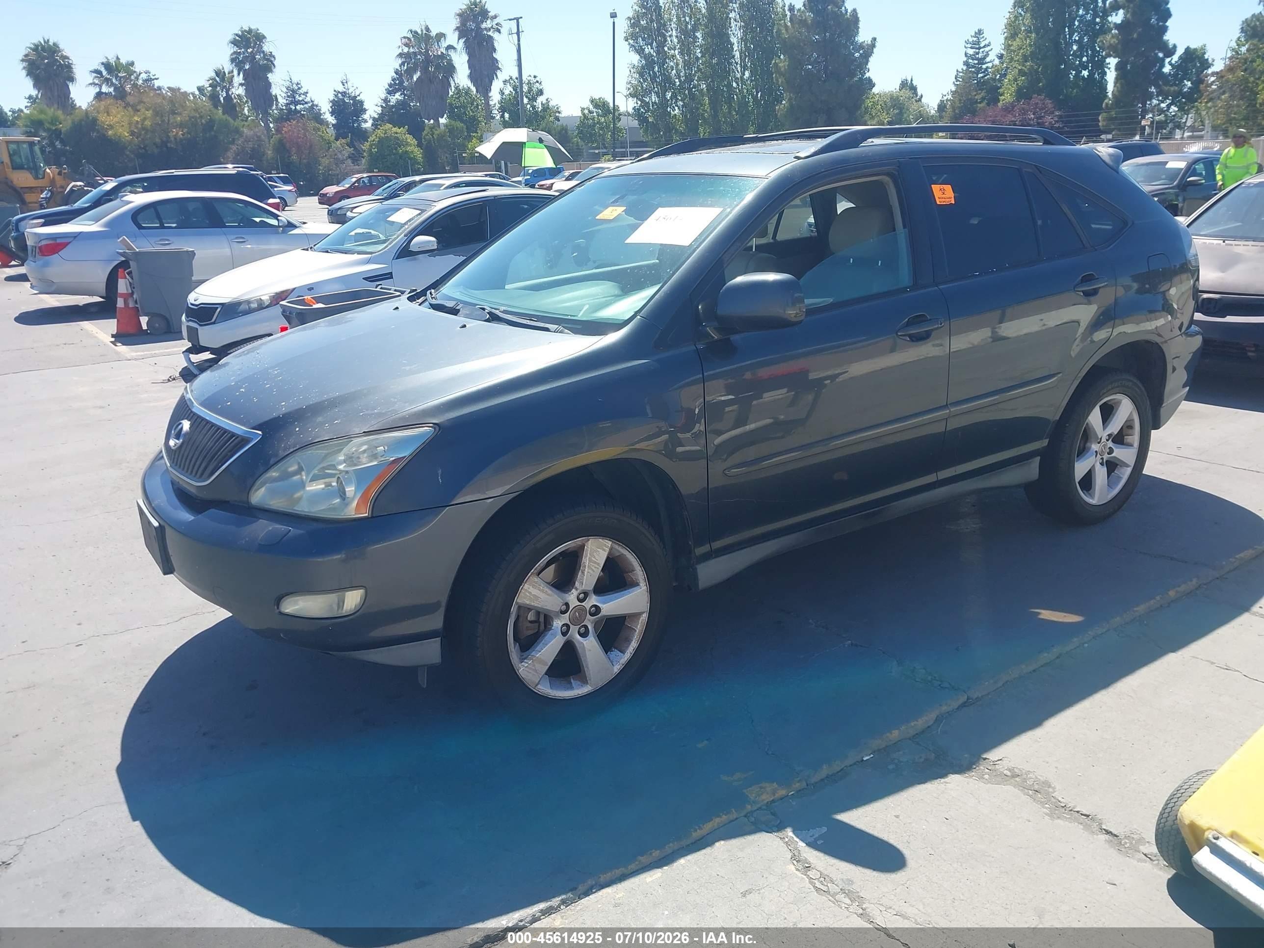 2007 Lexus Rx 350   Blue vin: 2T2HK31U67C024377