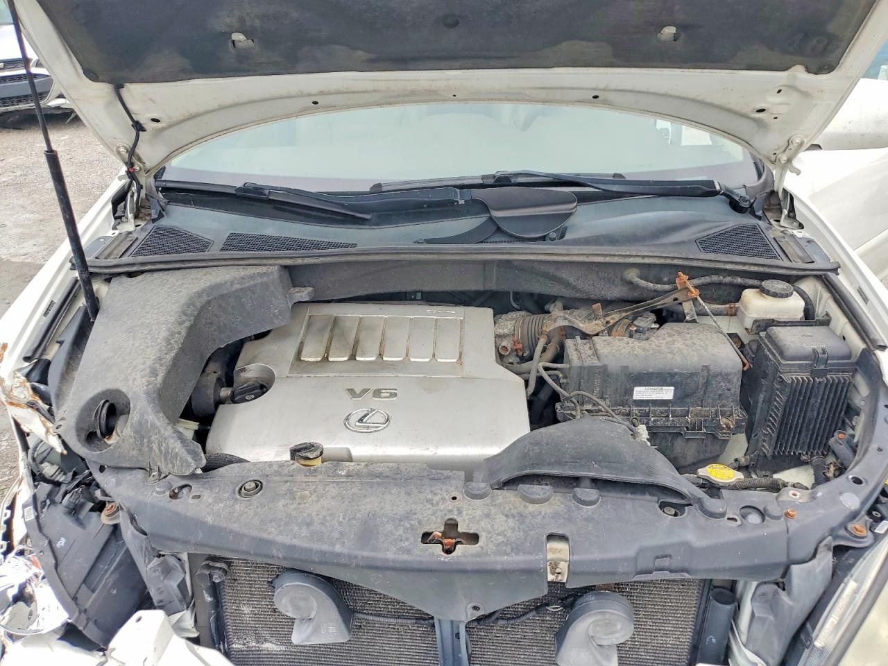 2009 Lexus Rx 350 Белый vin: 2T2HK31U69C102384