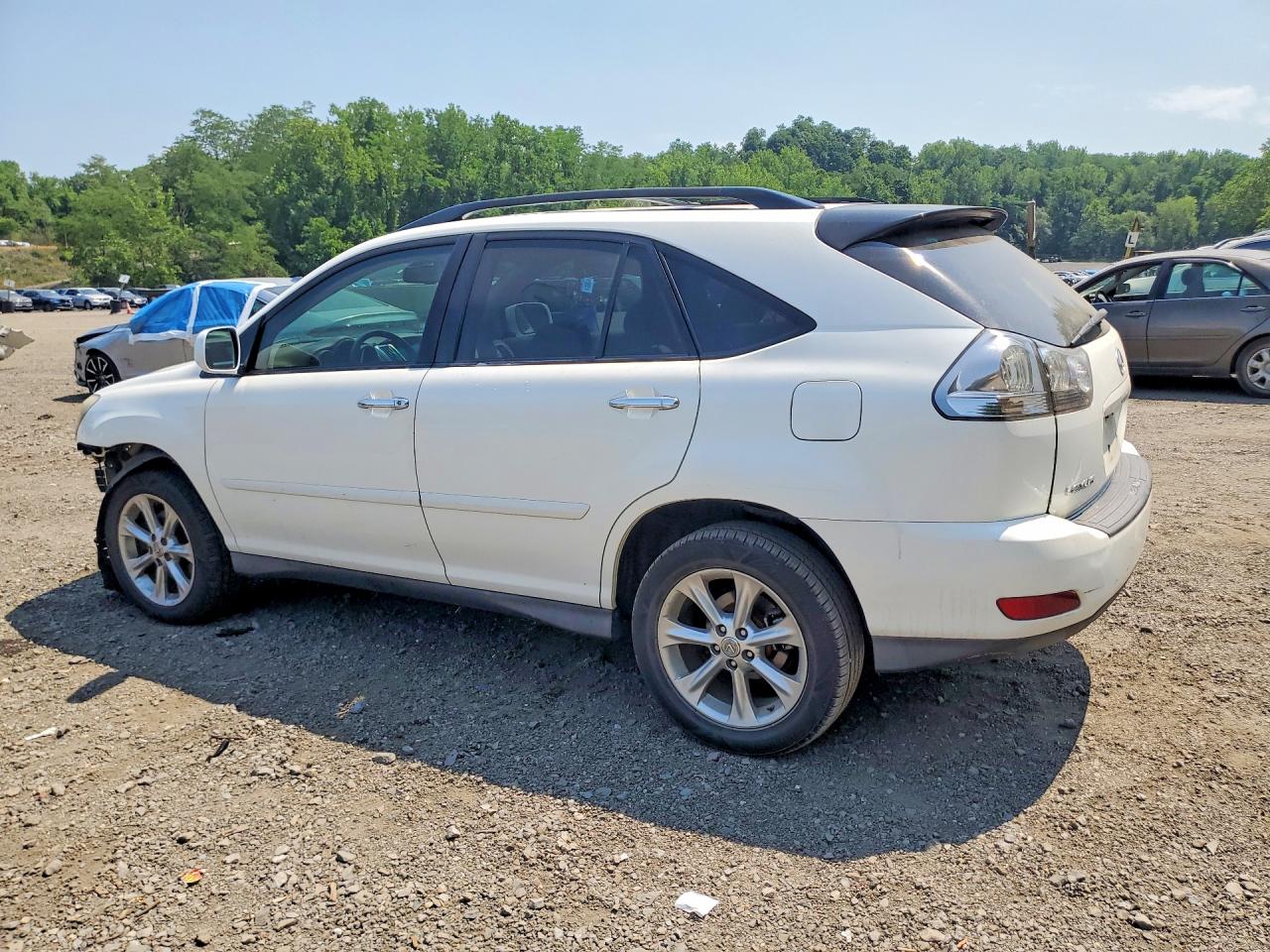 2009 Lexus Rx 350 White vin: 2T2HK31U89C129697