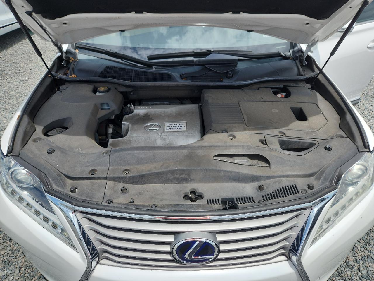 2015 Lexus Rx 450h Белый vin: 2T2ZB1BA1FC002542