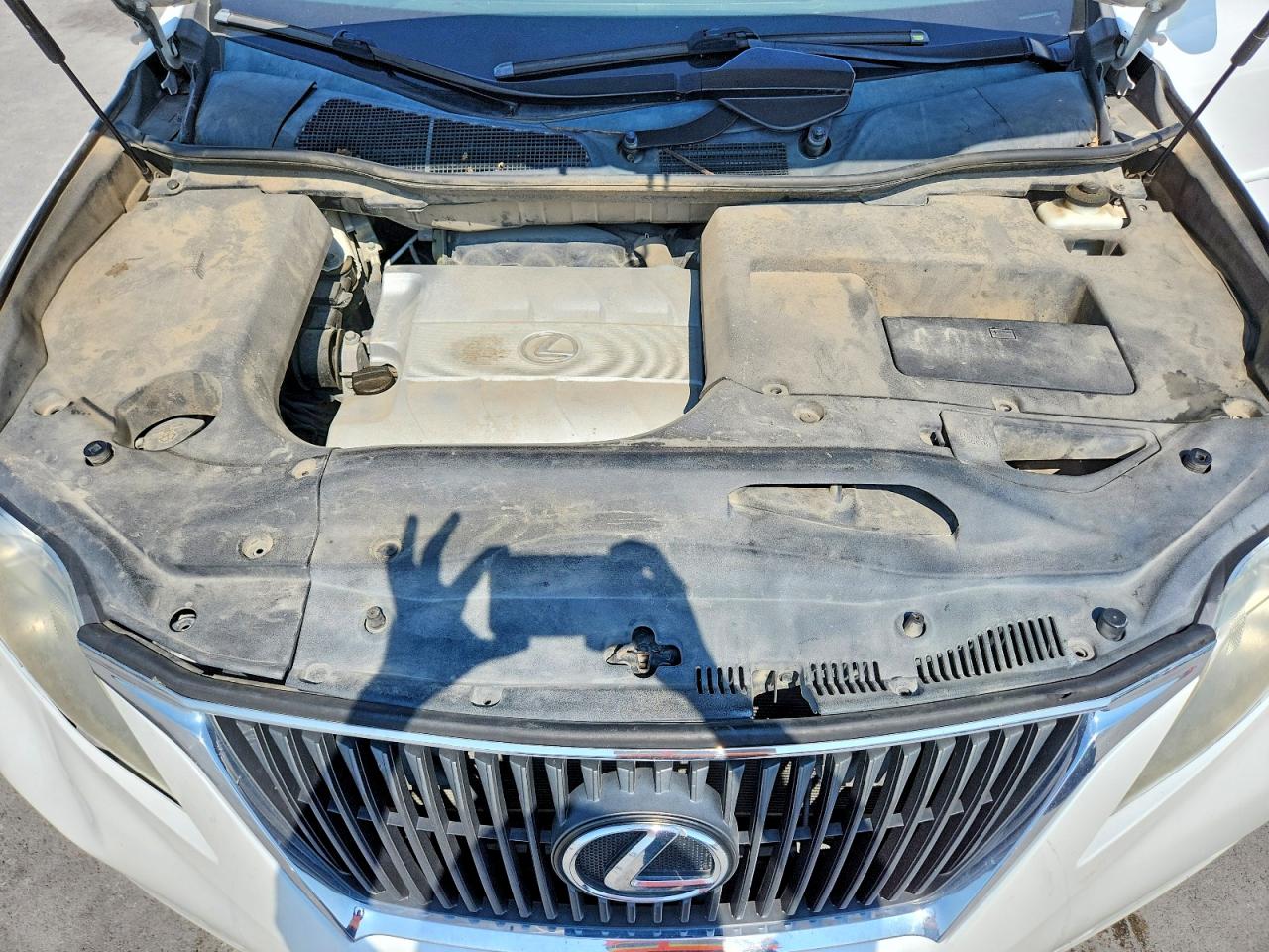 2010 Lexus Rx 350 Белый vin: 2T2ZK1BA0AC015730