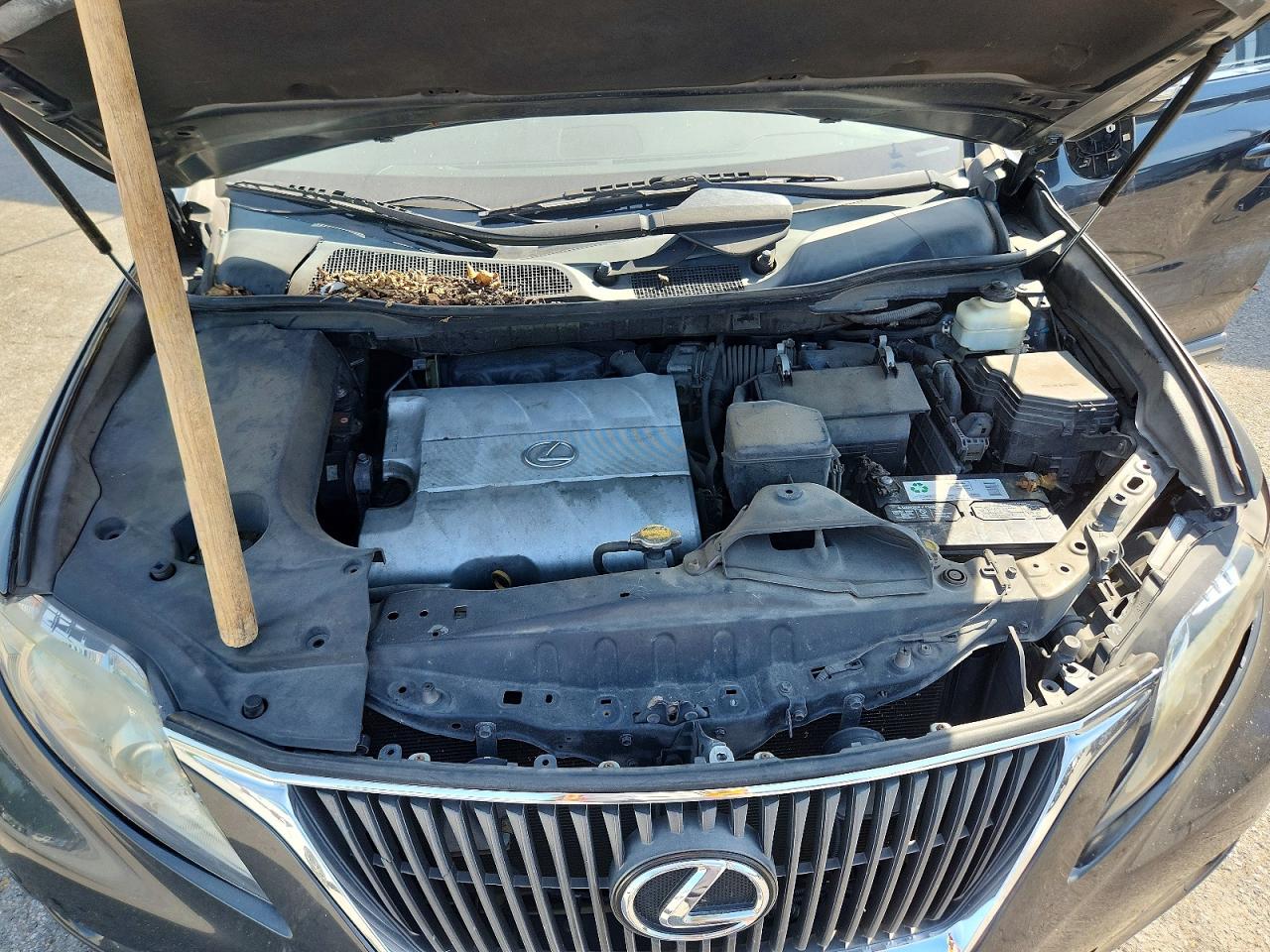 2010 Lexus Rx 350 Черный vin: 2T2ZK1BA0AC039400