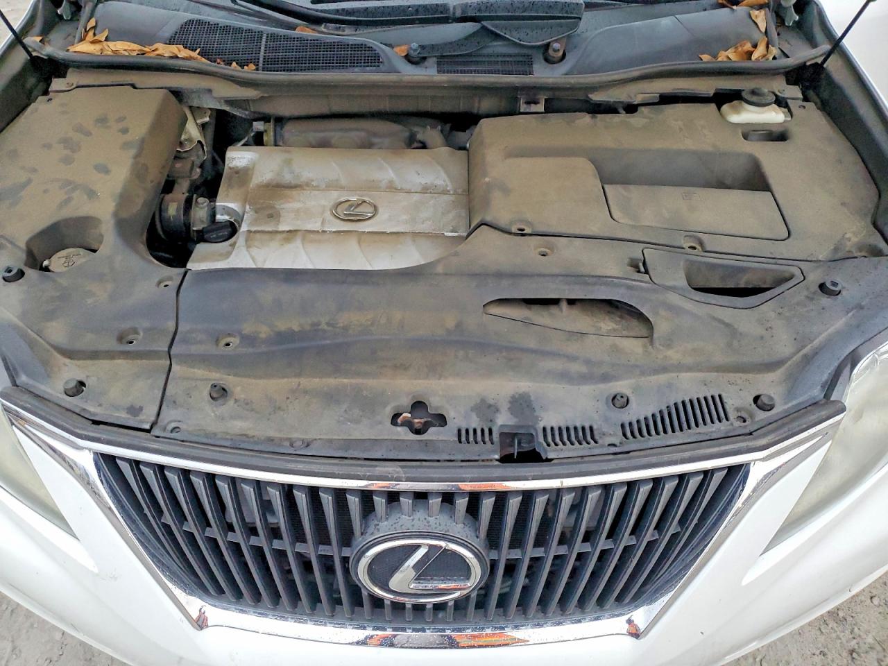 2010 Lexus Rx 350 White vin: 2T2ZK1BA1AC040071