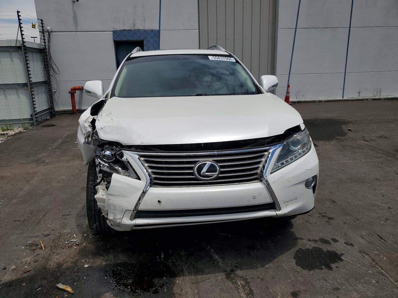 2014 Lexus Rx 350 White vin: 2T2ZK1BA1EC140340