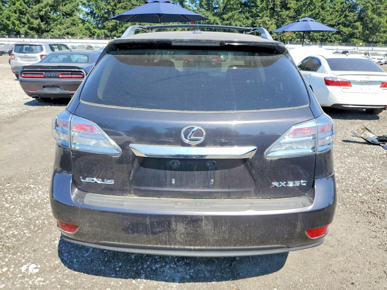 2010 Lexus Rx 350 Charcoal vin: 2T2ZK1BA6AC003601