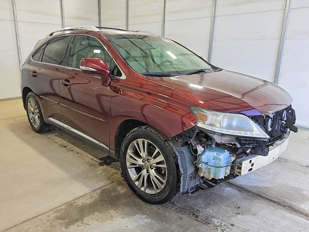 2014 Lexus Rx 350 Burgundy vin: 2T2ZK1BA6EC139376