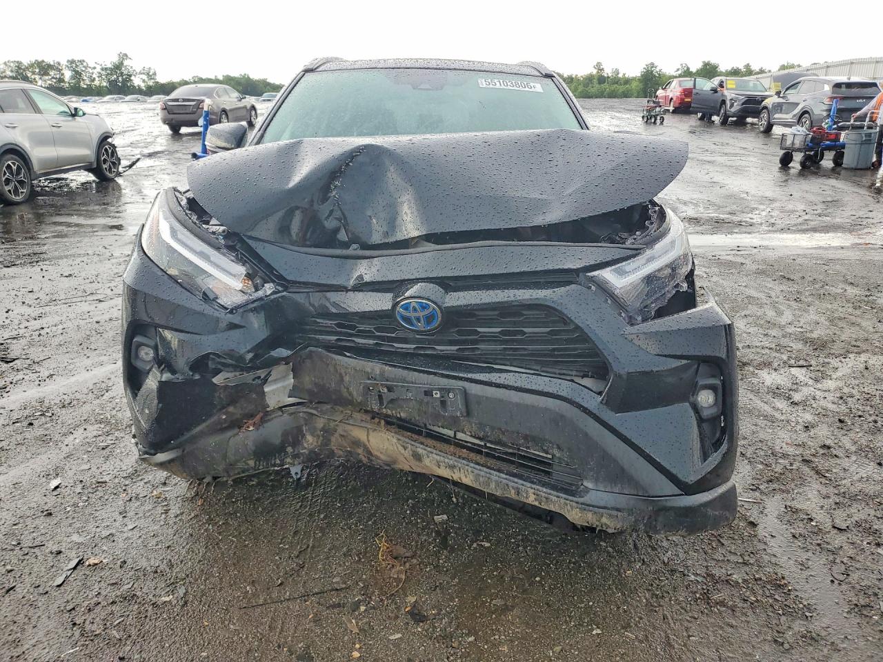 2024 Toyota Rav4 Xle Premium Черный vin: 2T3B6RFV5RW074585