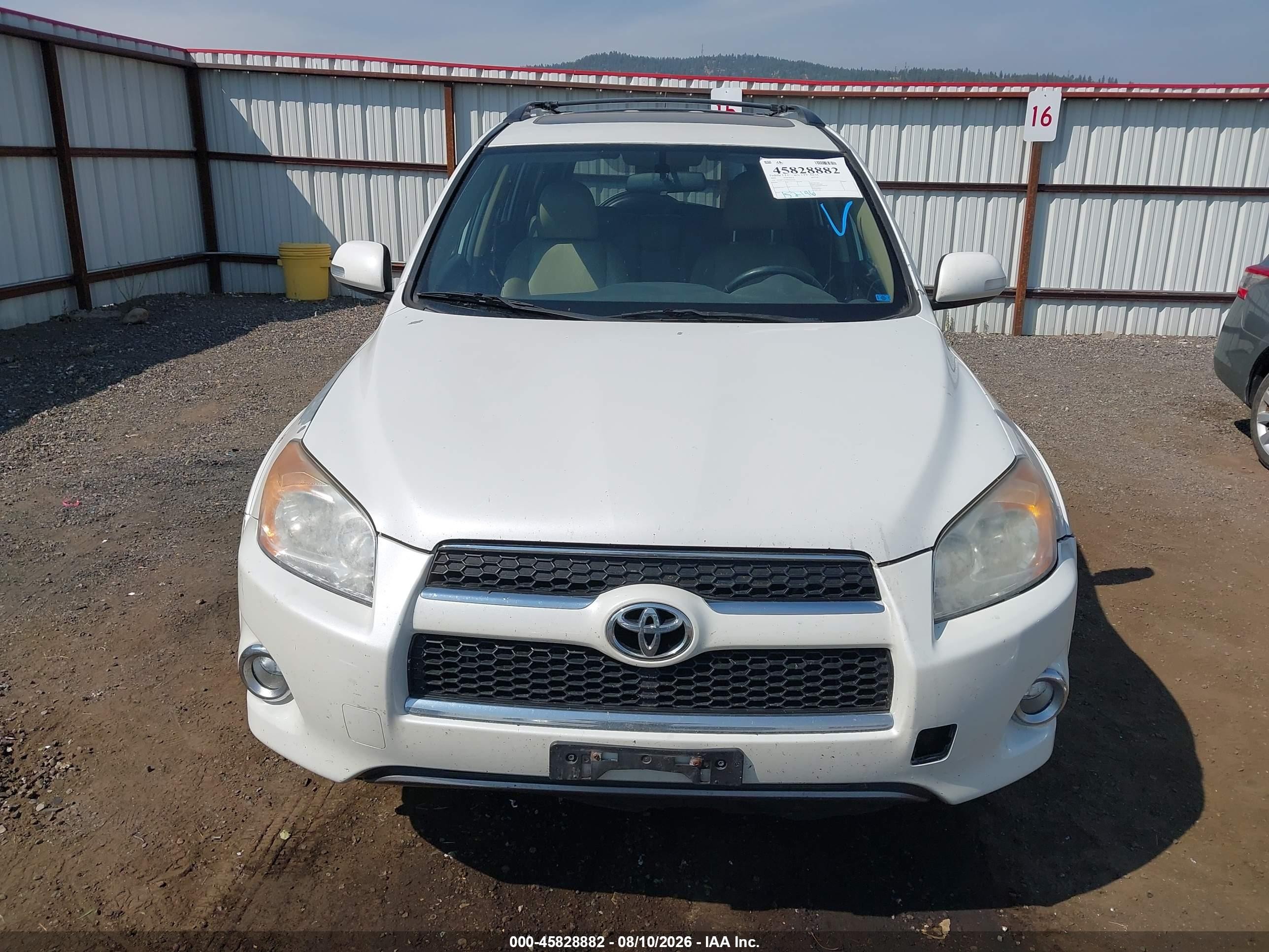 2009 Toyota Rav4 Limited White vin: 2T3BF31V99W016256