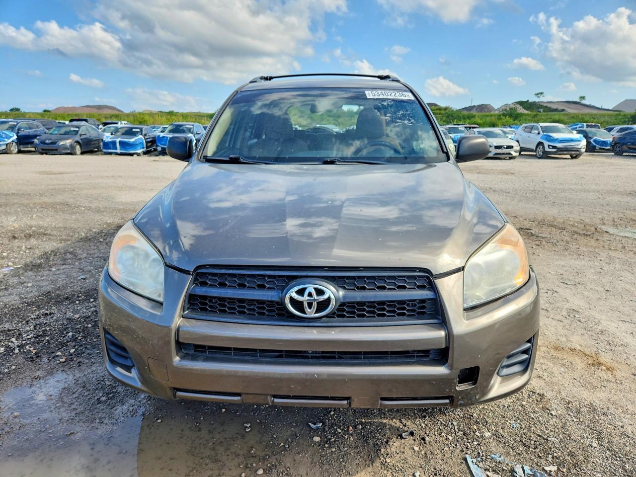 2010 Toyota Rav4 Base Tan vin: 2T3BF4DV0AW034957