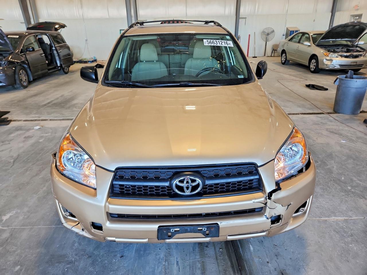 2011 Toyota Rav4 Base Tan vin: 2T3BF4DV0BW171723