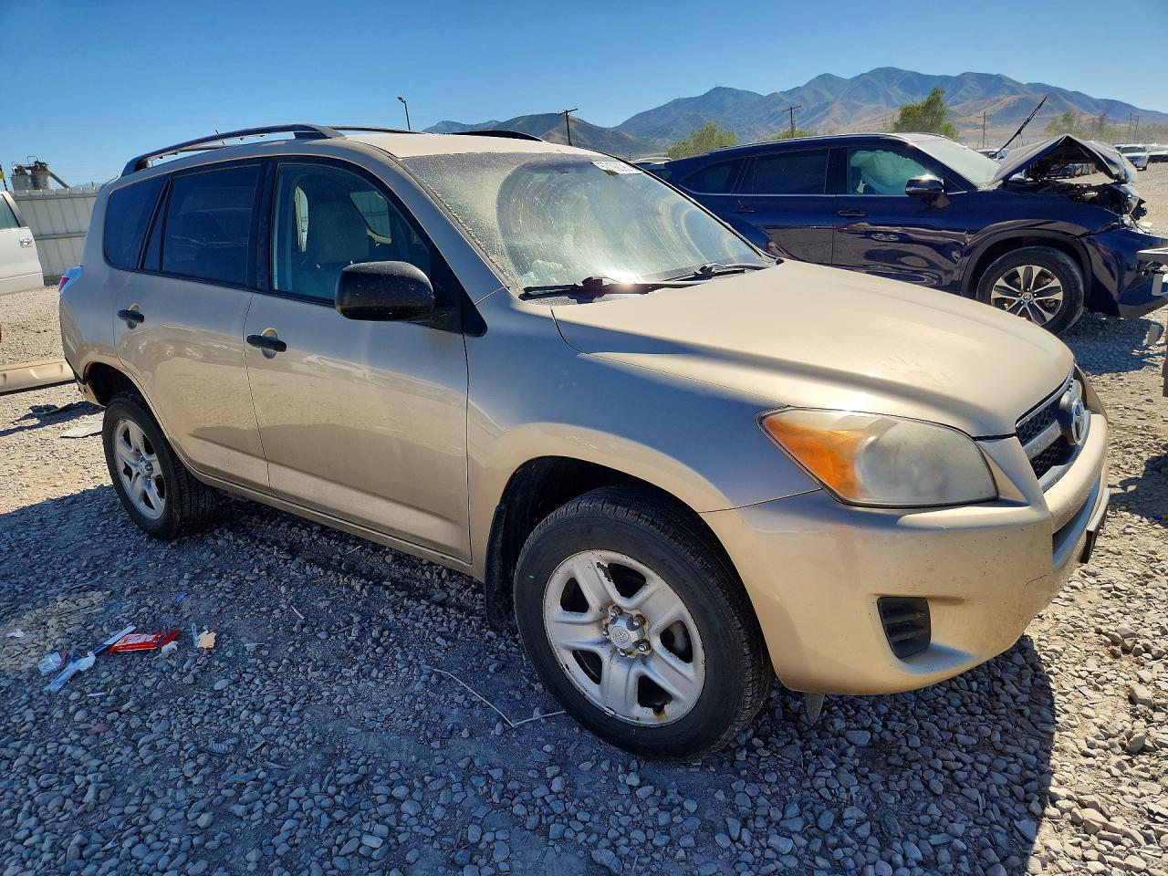 2010 Toyota Rav4 Base Tan vin: 2T3BF4DV5AW055531