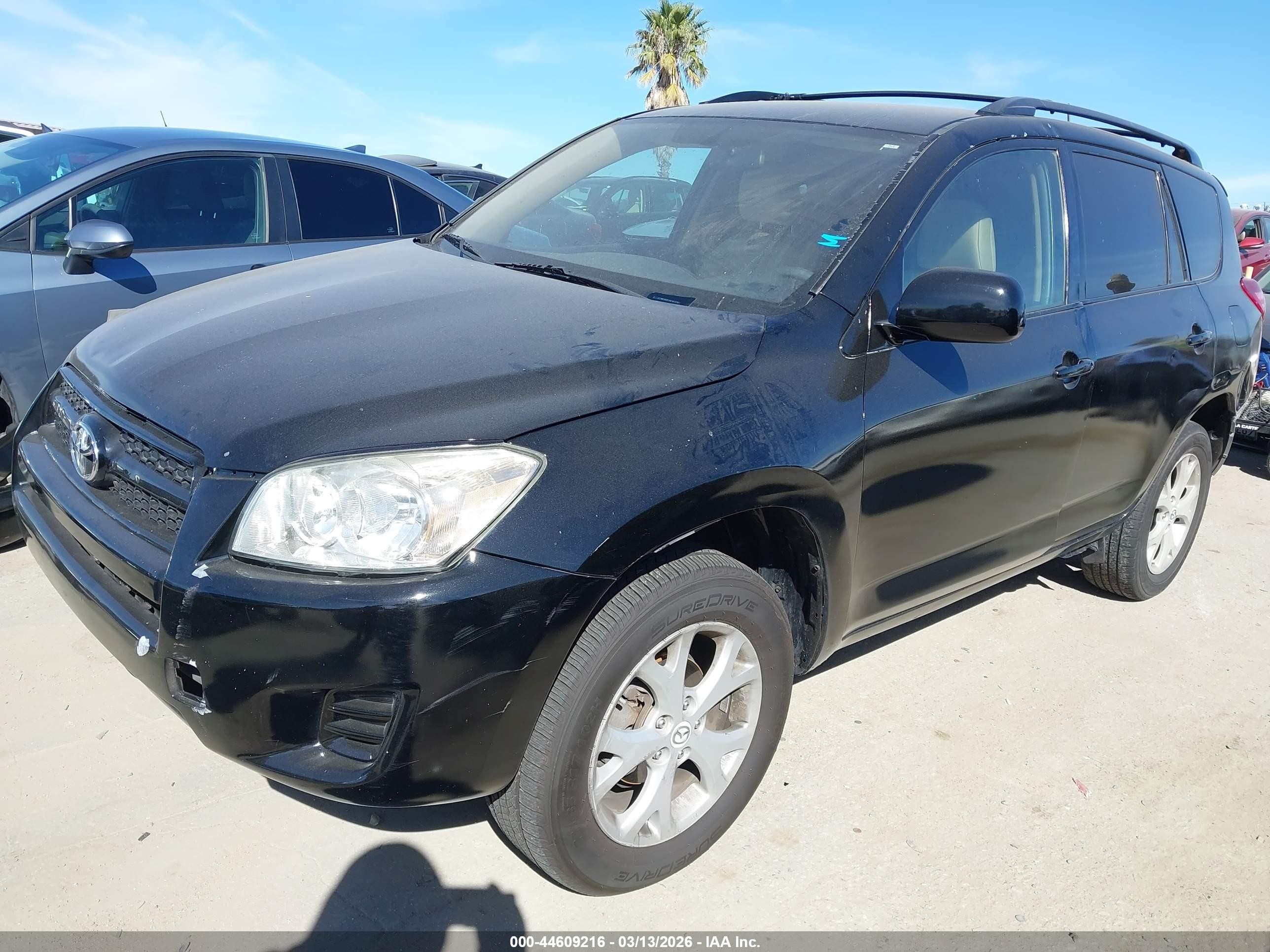 2011 Toyota Rav4 Black vin: 2T3BF4DV5BW149197