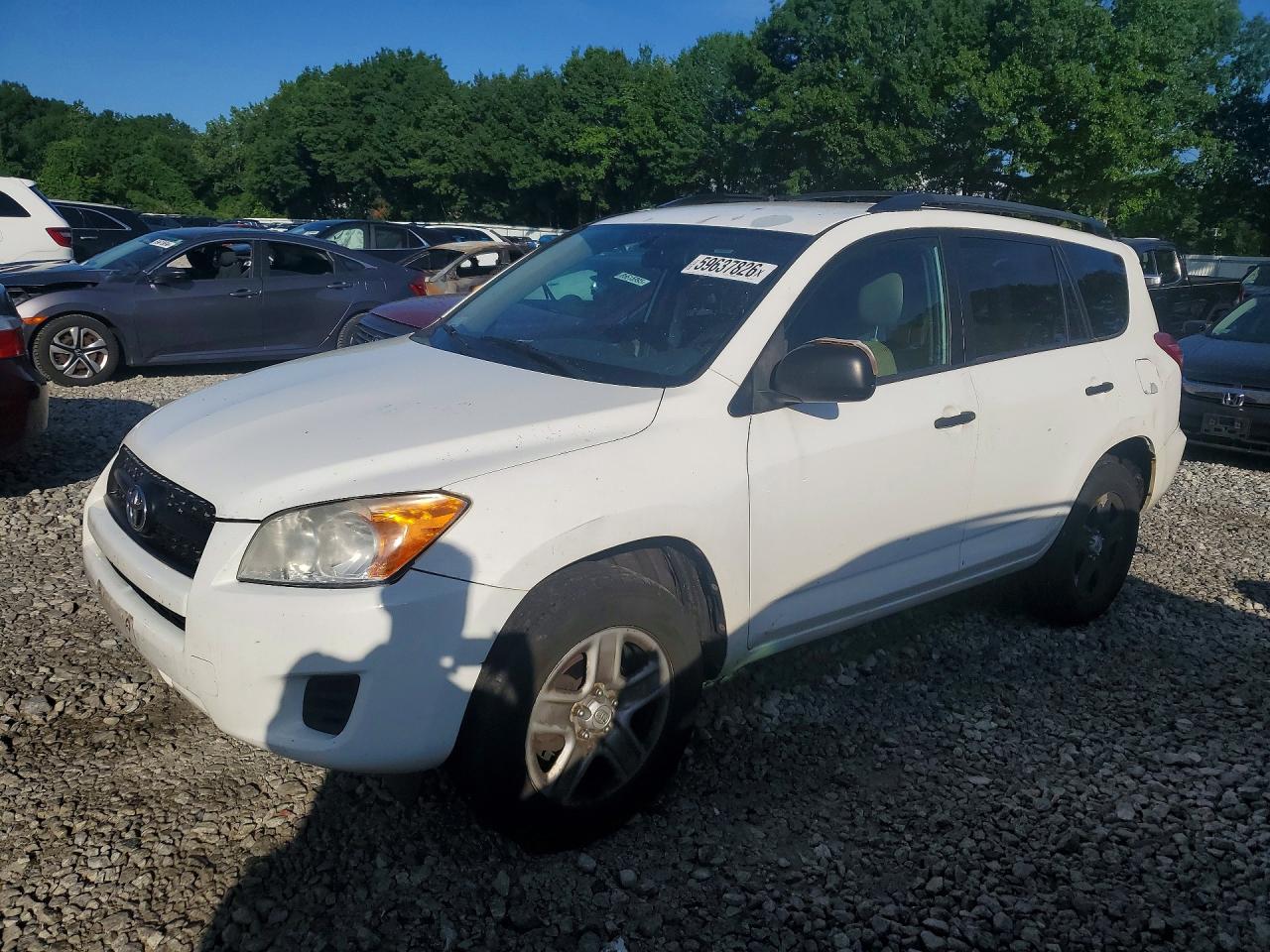 2011 Toyota Rav4 Base White vin: 2T3BF4DV9BW162681
