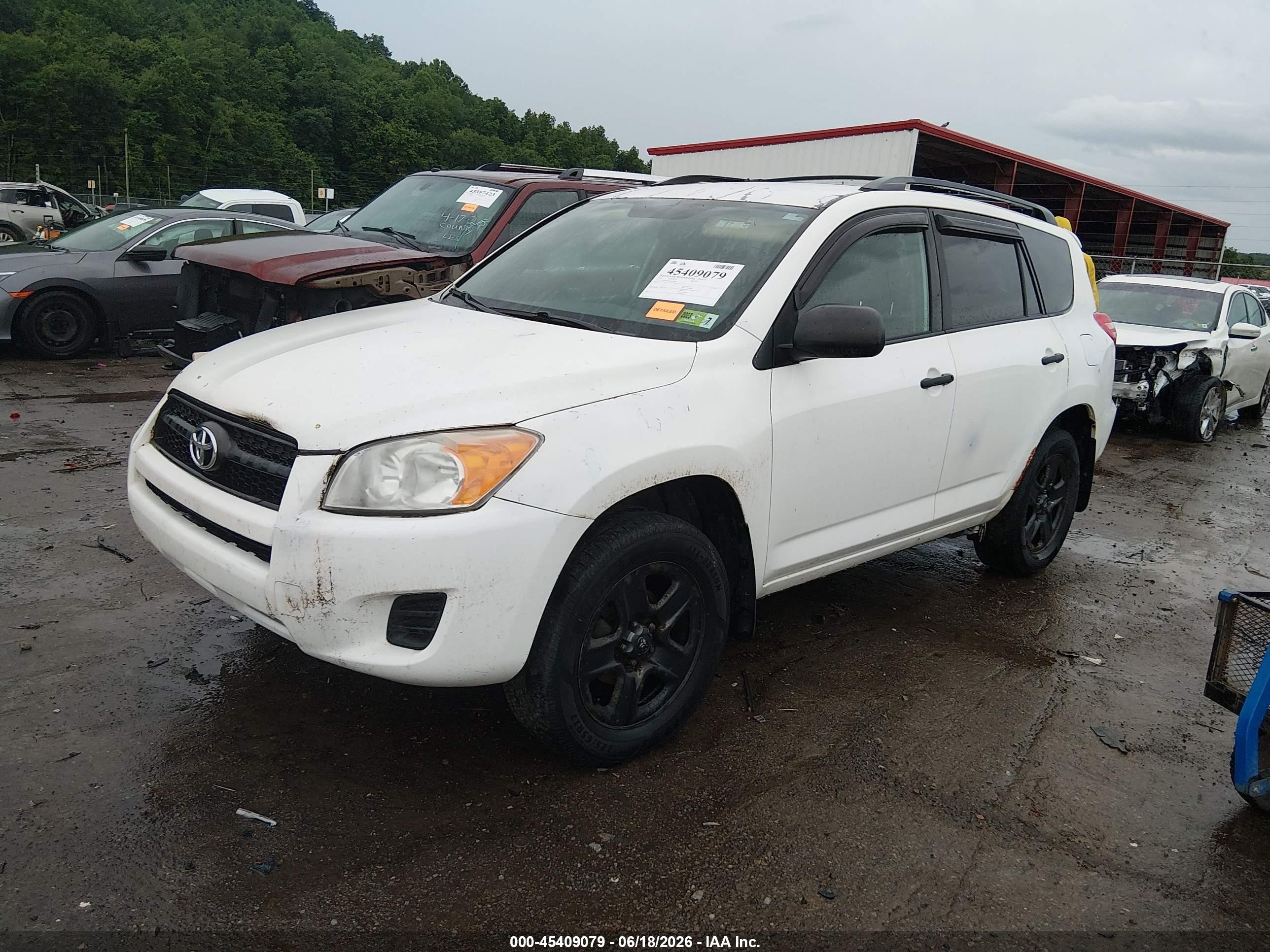 2010 Toyota Rav4   White vin: 2T3BF4DVXAW079808