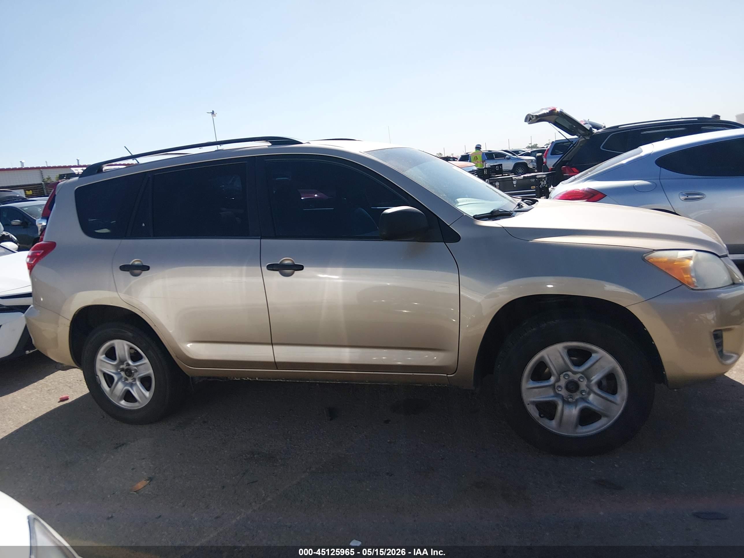 2011 Toyota Rav4 Champagne vin: 2T3BF4DVXBW105602