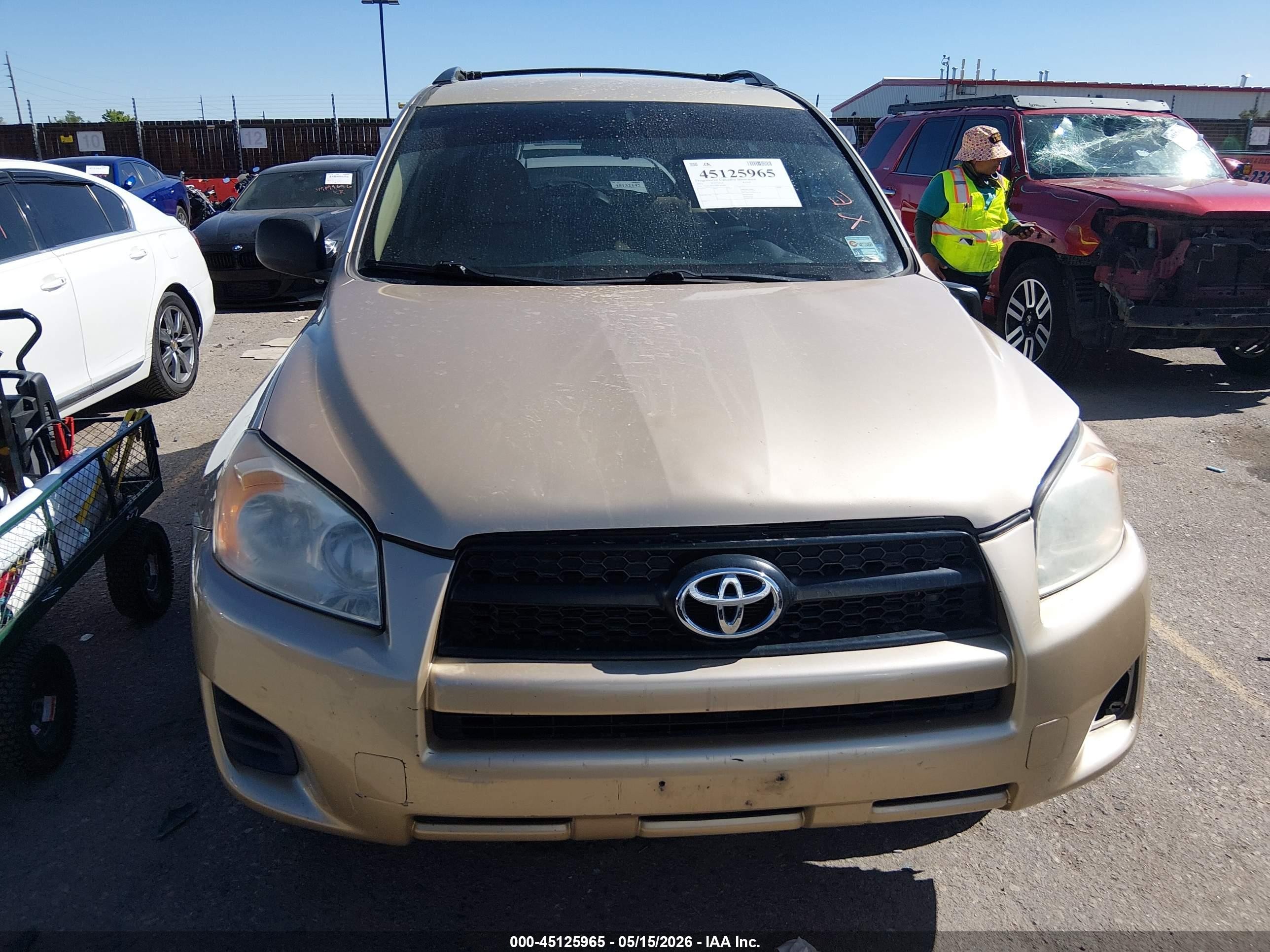 2011 Toyota Rav4 Champagne vin: 2T3BF4DVXBW105602