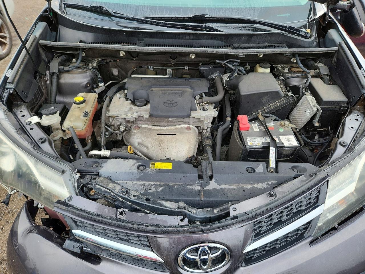 2014 Toyota Rav4 Le Gray vin: 2T3BFREV1EW155613