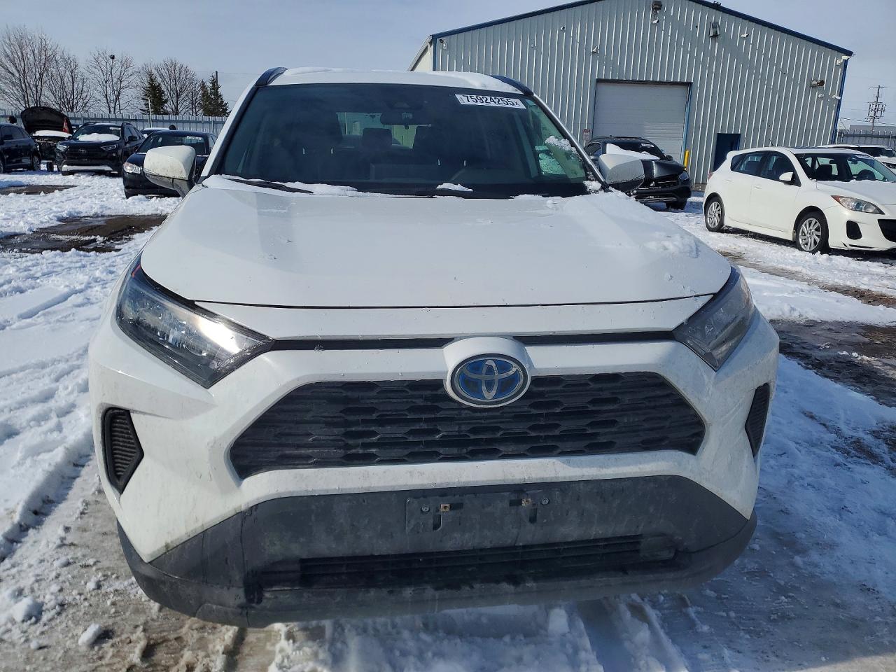 2024 Toyota Rav4 Le Белый vin: 2T3BWRFV0RW212923