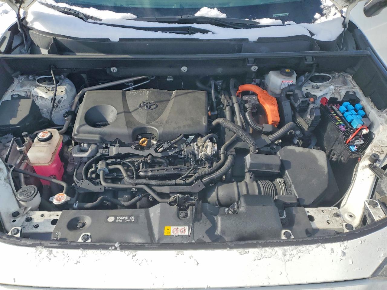 2024 Toyota Rav4 Le Белый vin: 2T3BWRFV0RW212923