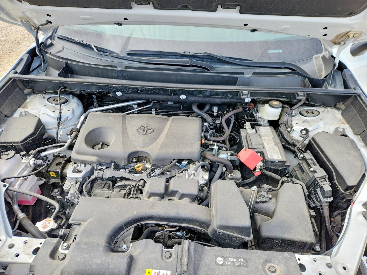 2025 Toyota Rav4 Limited Белый vin: 2T3D1RFV5SW515127