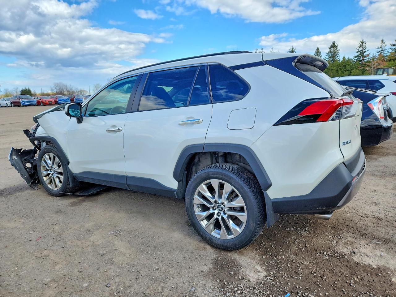 2019 Toyota Rav4 Limited White vin: 2T3D1RFV6KW008804