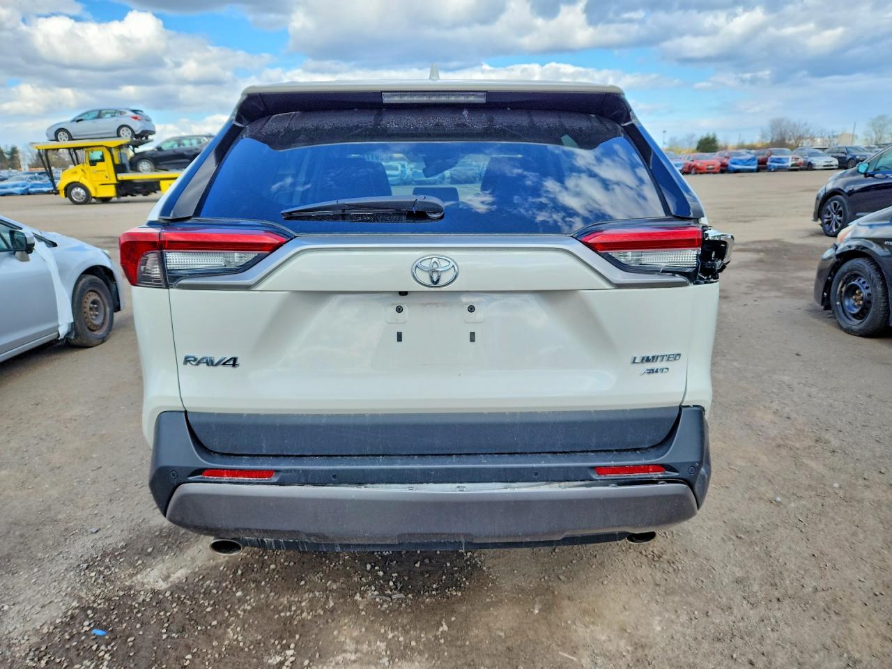 2019 Toyota Rav4 Limited White vin: 2T3D1RFV6KW008804