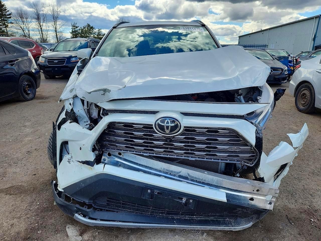 2019 Toyota Rav4 Limited White vin: 2T3D1RFV6KW008804