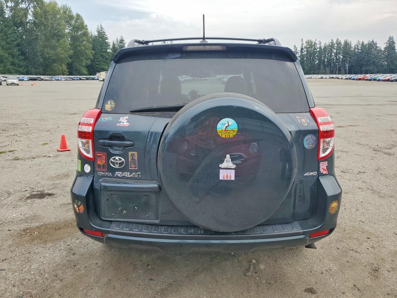2010 Toyota Rav4 Limited Green vin: 2T3DF4DV5AW077229