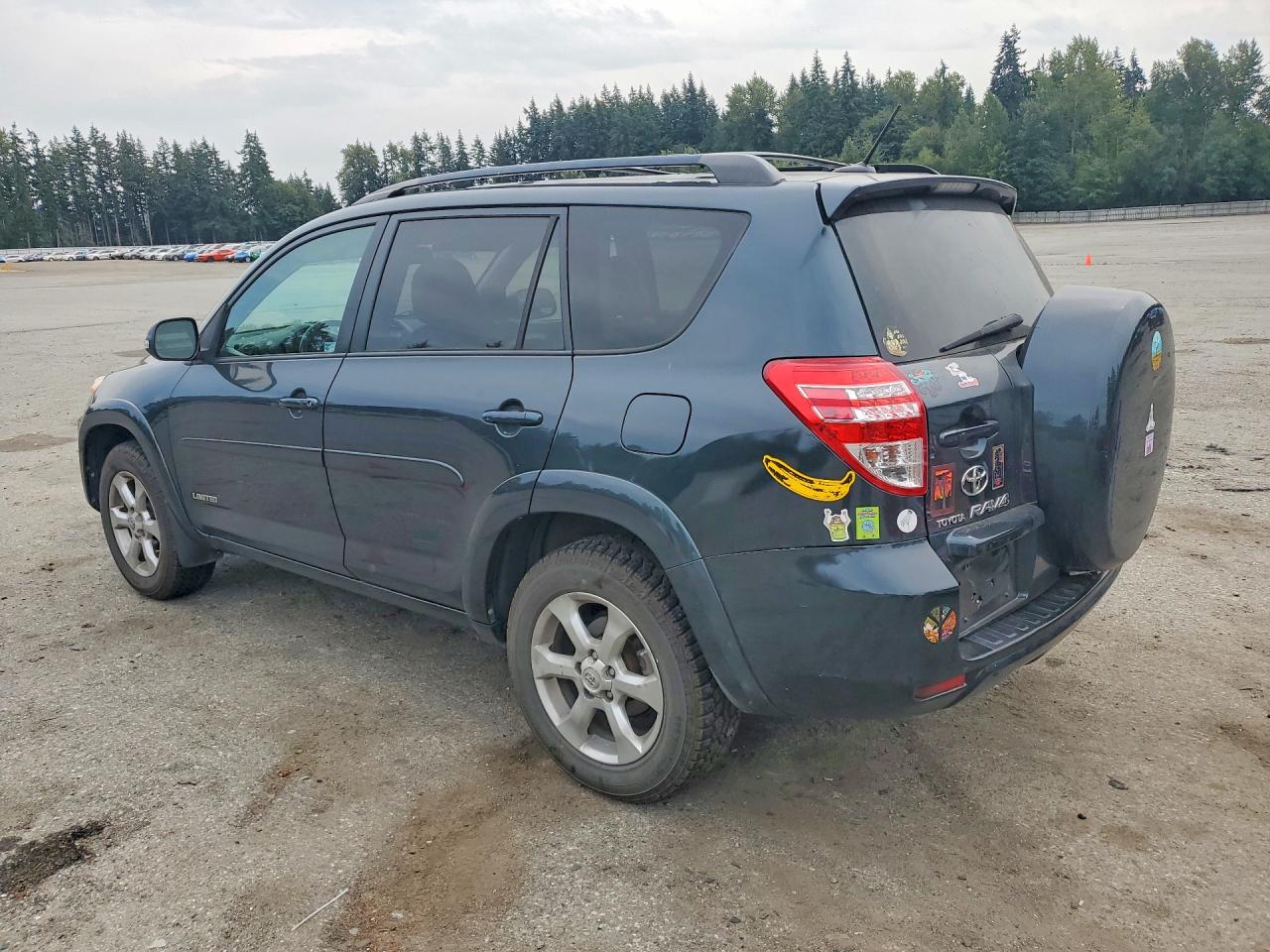 2010 Toyota Rav4 Limited Green vin: 2T3DF4DV5AW077229