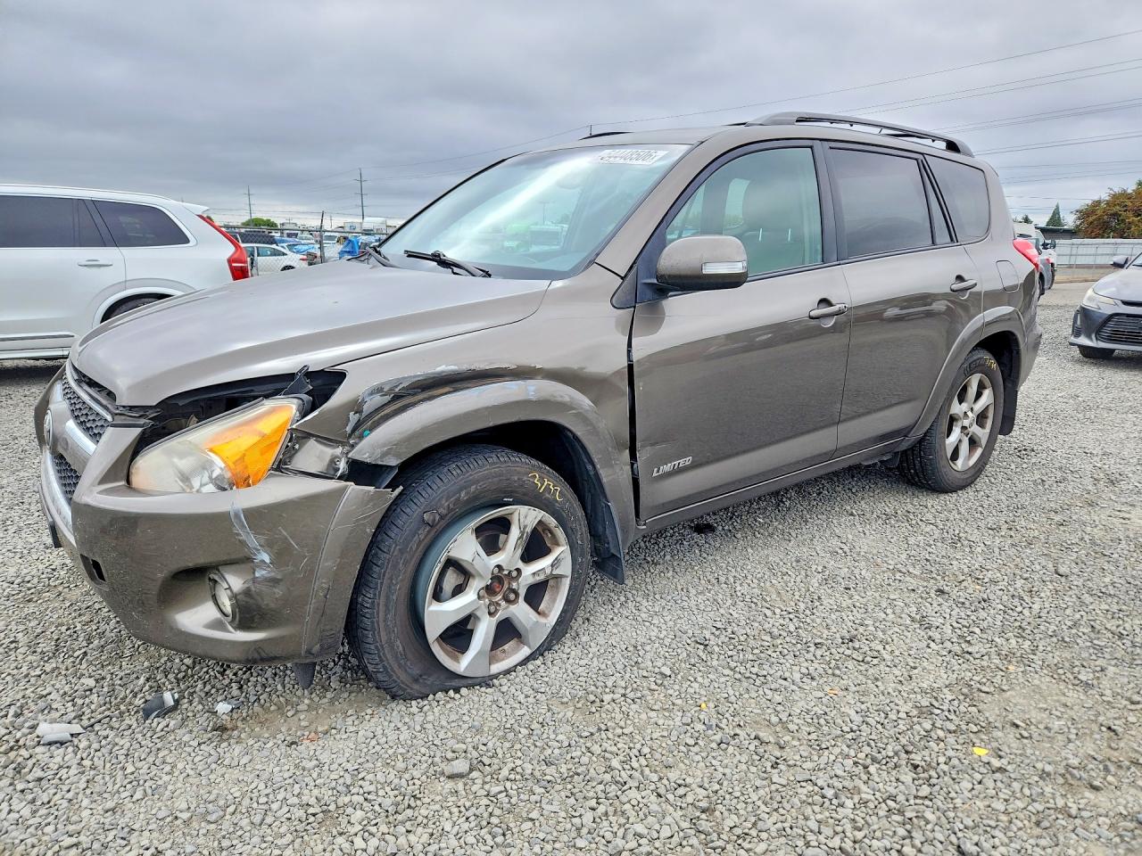 2011 Toyota Rav4 Limited Tan vin: 2T3DF4DV5BW097062