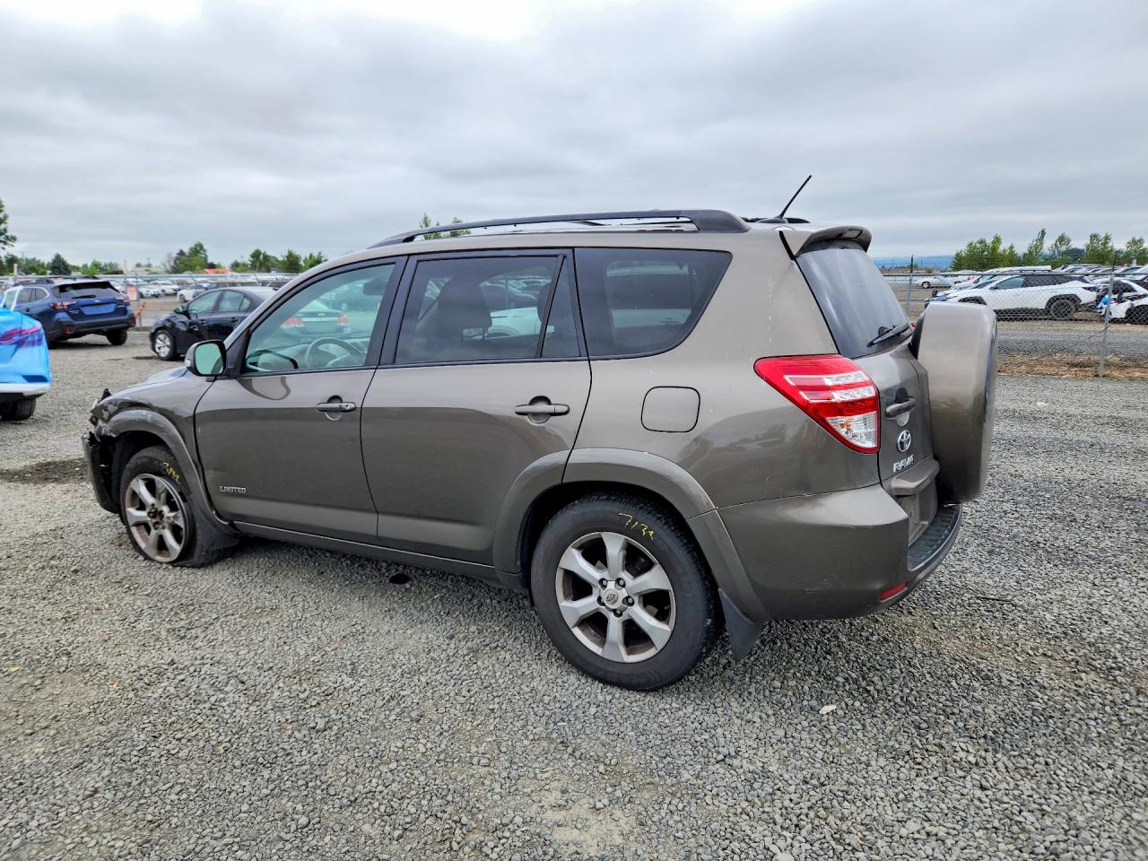 2011 Toyota Rav4 Limited Tan vin: 2T3DF4DV5BW097062