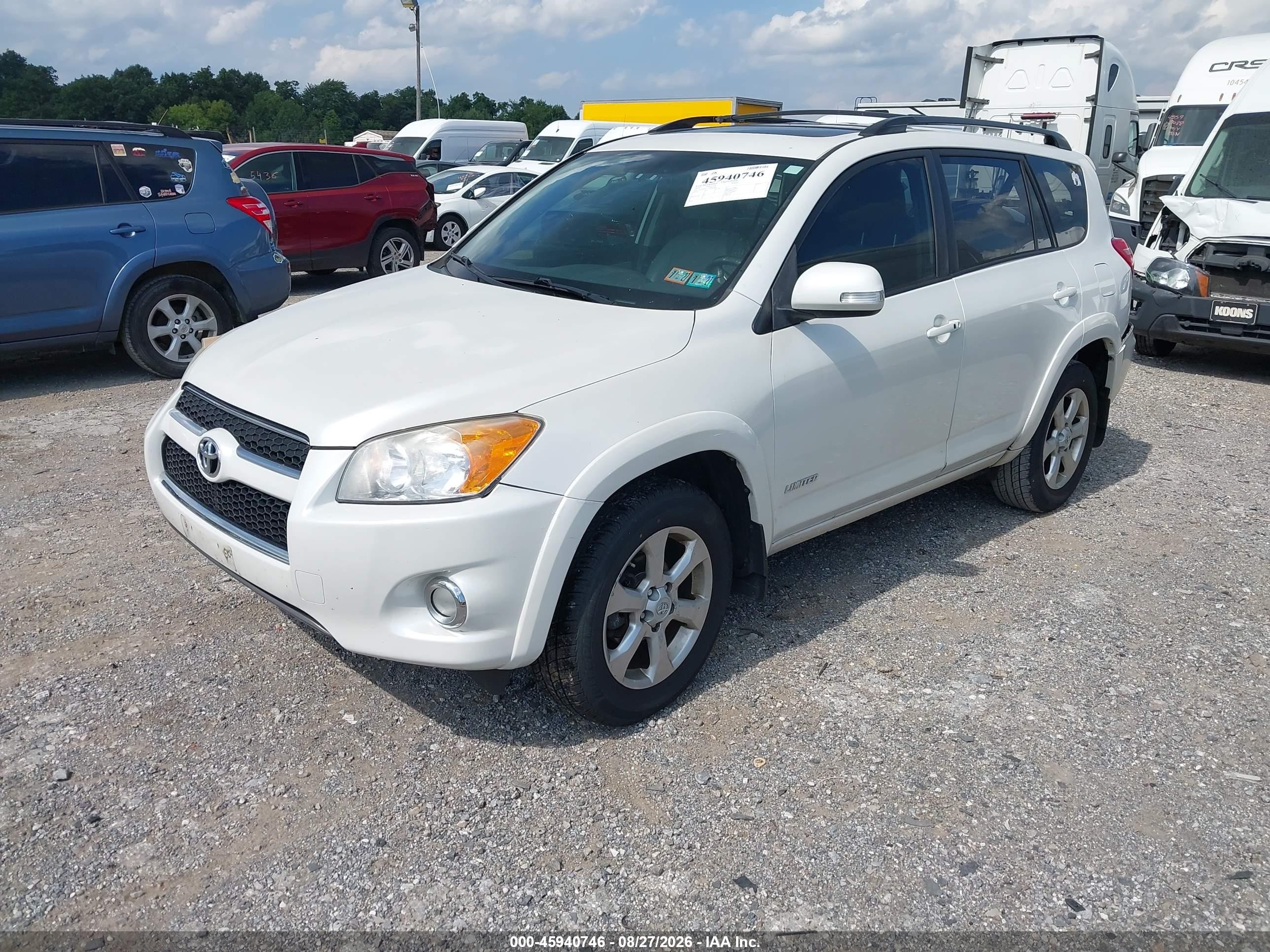 2010 Toyota Rav4 Limited White vin: 2T3DF4DV7AW061789