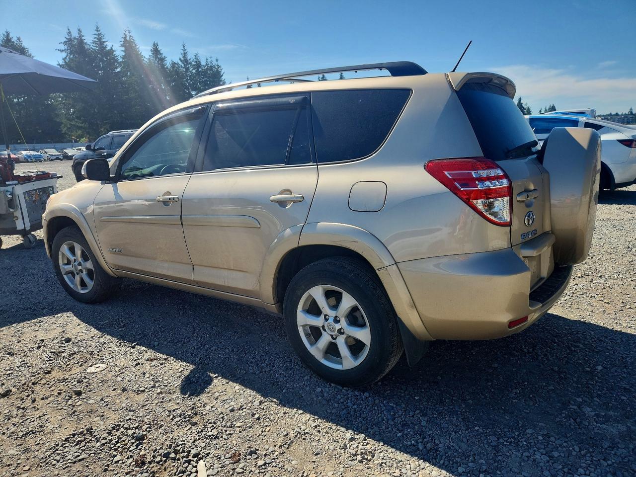 2012 Toyota Rav4 Limited Tan vin: 2T3DK4DV1CW072124