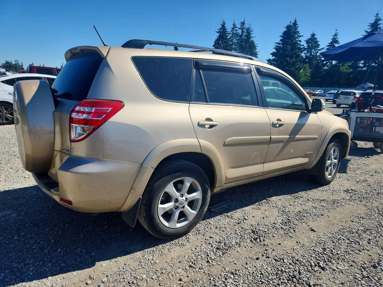2012 Toyota Rav4 Limited Tan vin: 2T3DK4DV1CW072124