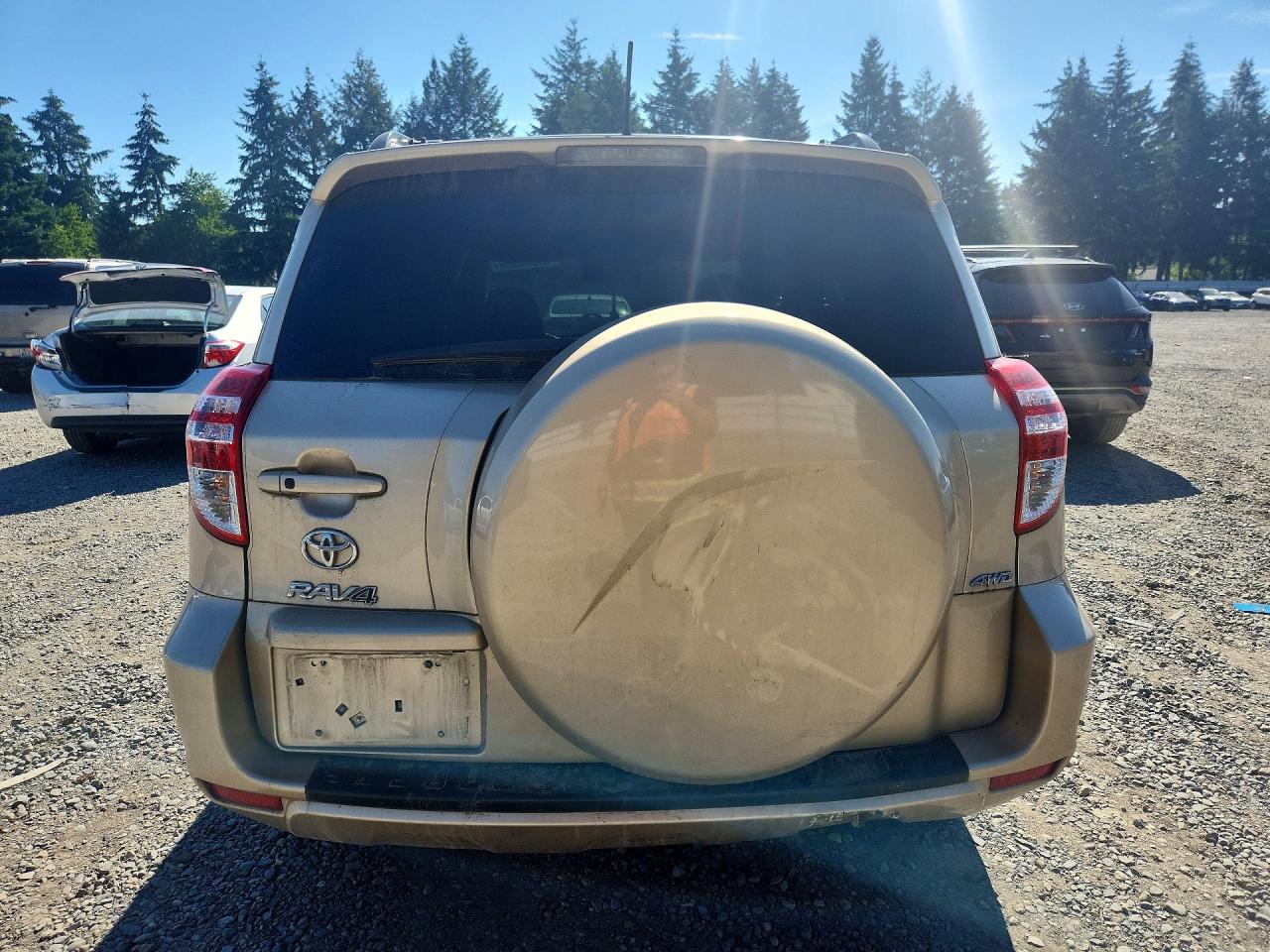 2012 Toyota Rav4 Limited Tan vin: 2T3DK4DV1CW072124