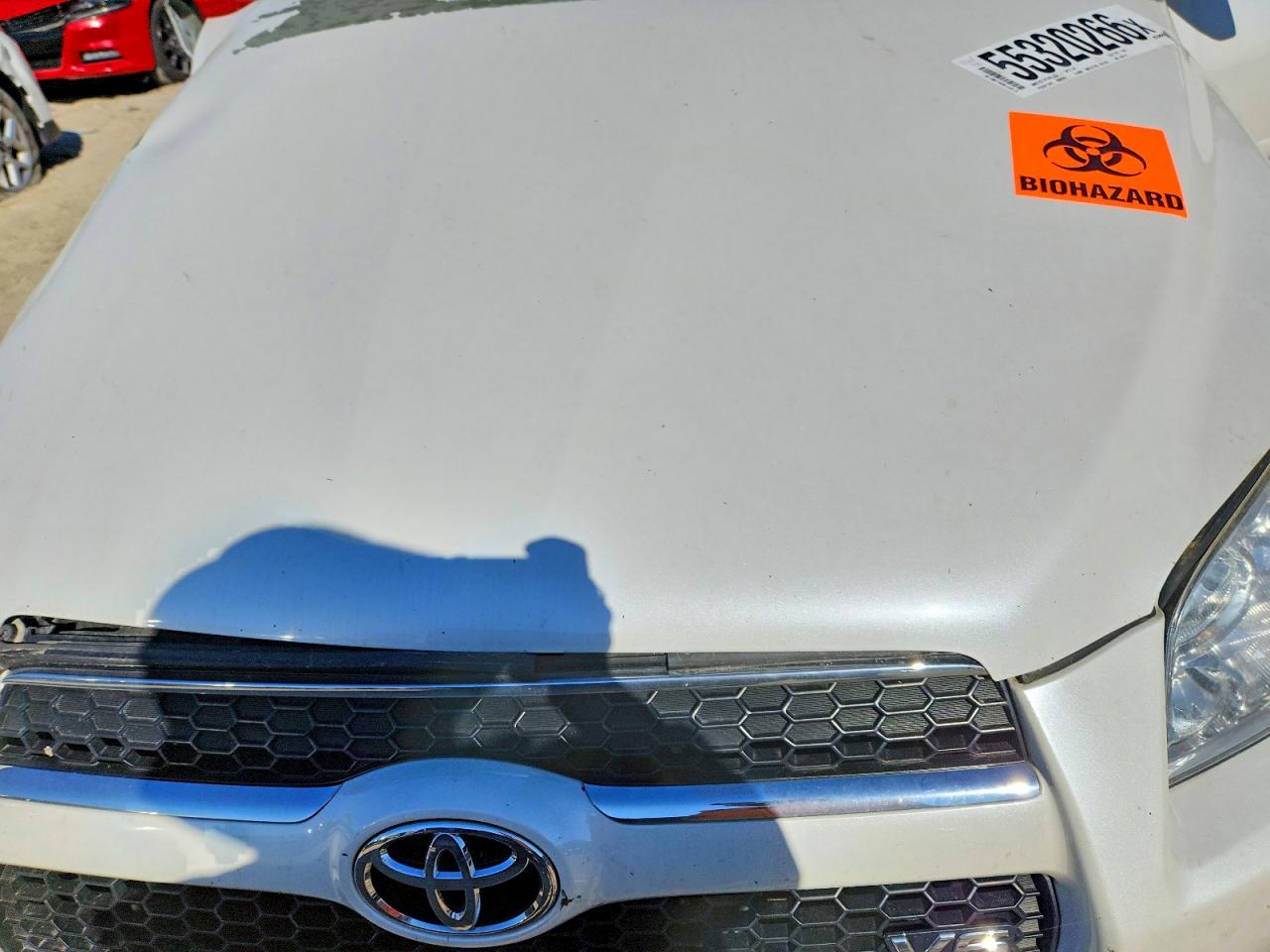 2012 Toyota Rav4 Limited White vin: 2T3DK4DV4CW069718