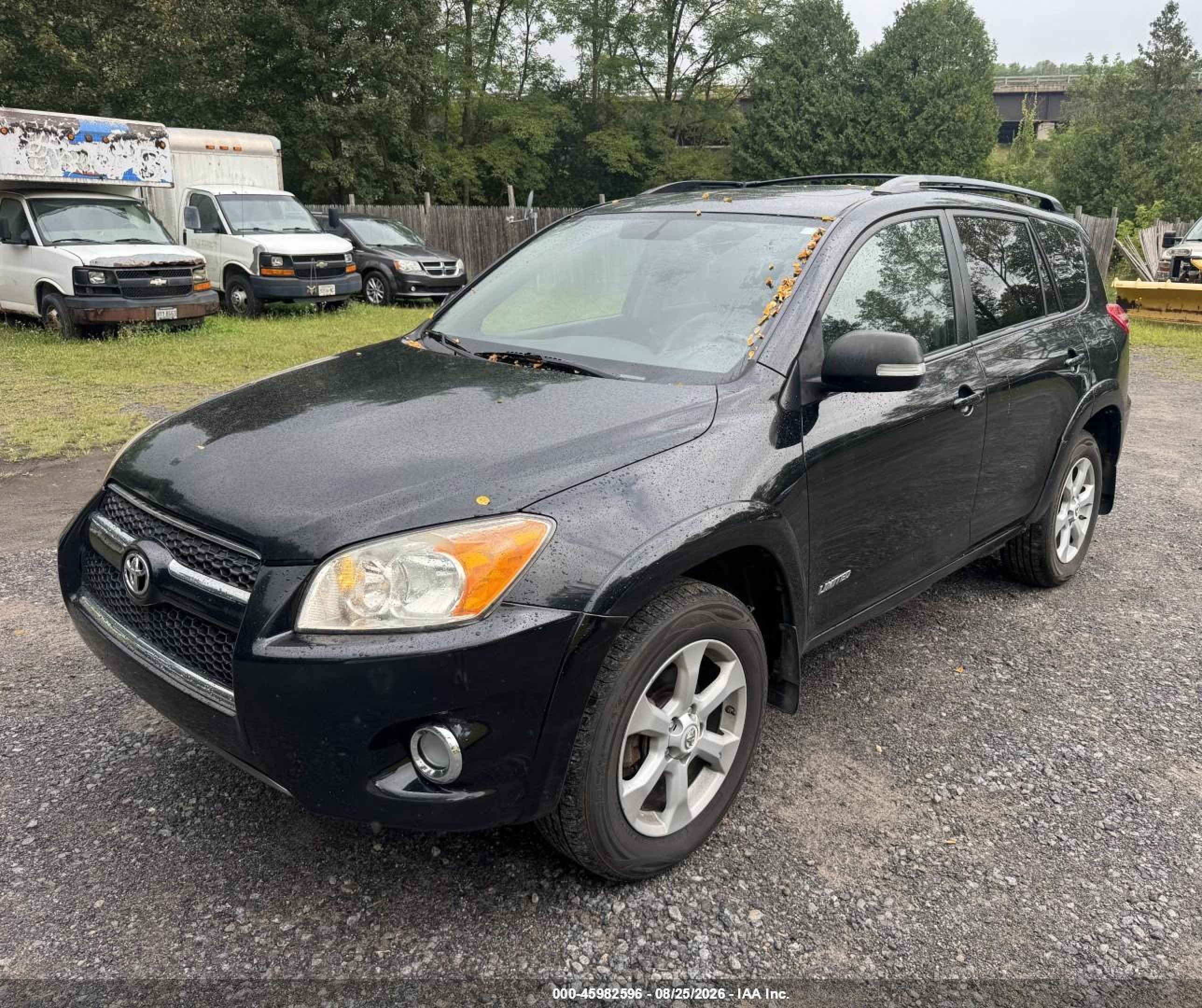 2012 Toyota Rav4 Limited V6 Black vin: 2T3DK4DV4CW094344
