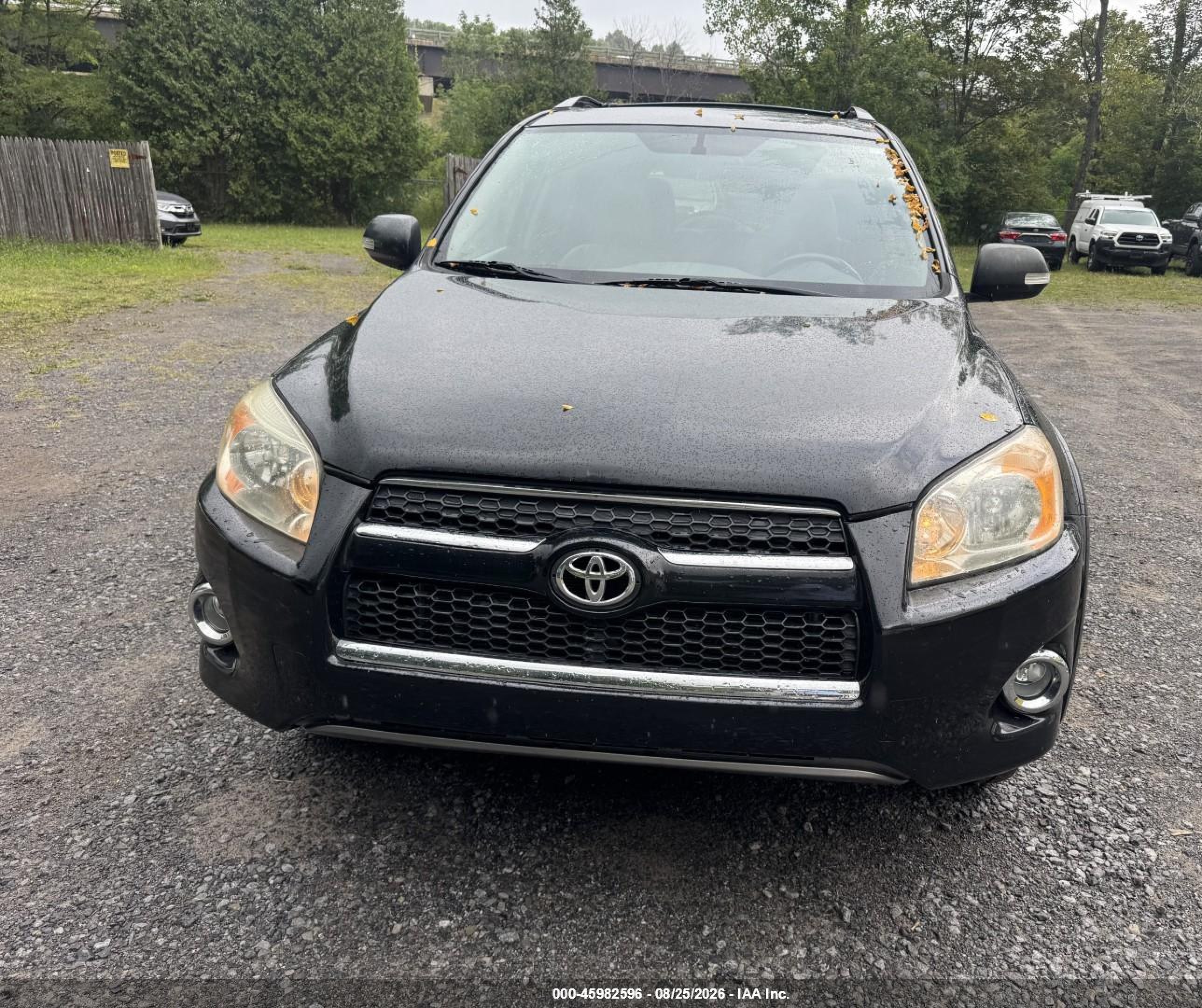 2012 Toyota Rav4 Limited V6 Black vin: 2T3DK4DV4CW094344