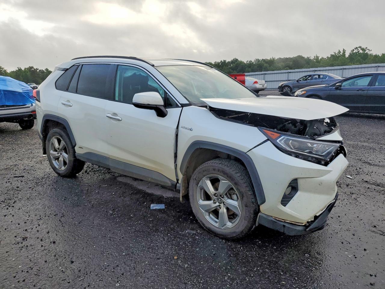 2019 Toyota Rav4 Limited White vin: 2T3DWRFV0KW039015
