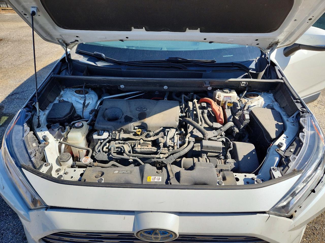 2019 Toyota Rav4 Limited White vin: 2T3DWRFV5KW017611