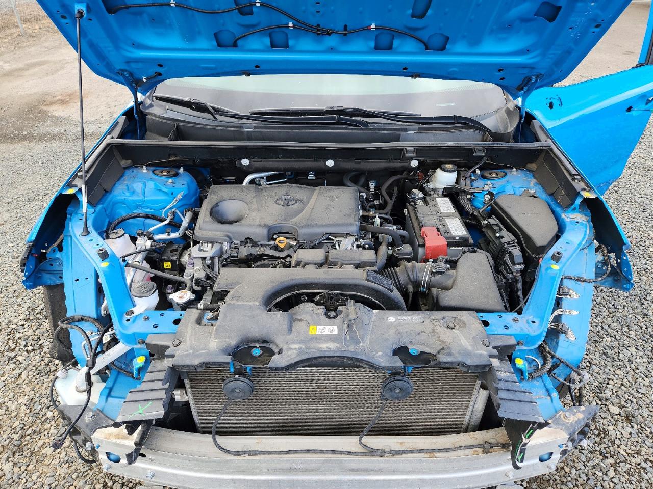2019 Toyota Rav4 Le Blue vin: 2T3G1RFV7KC012777