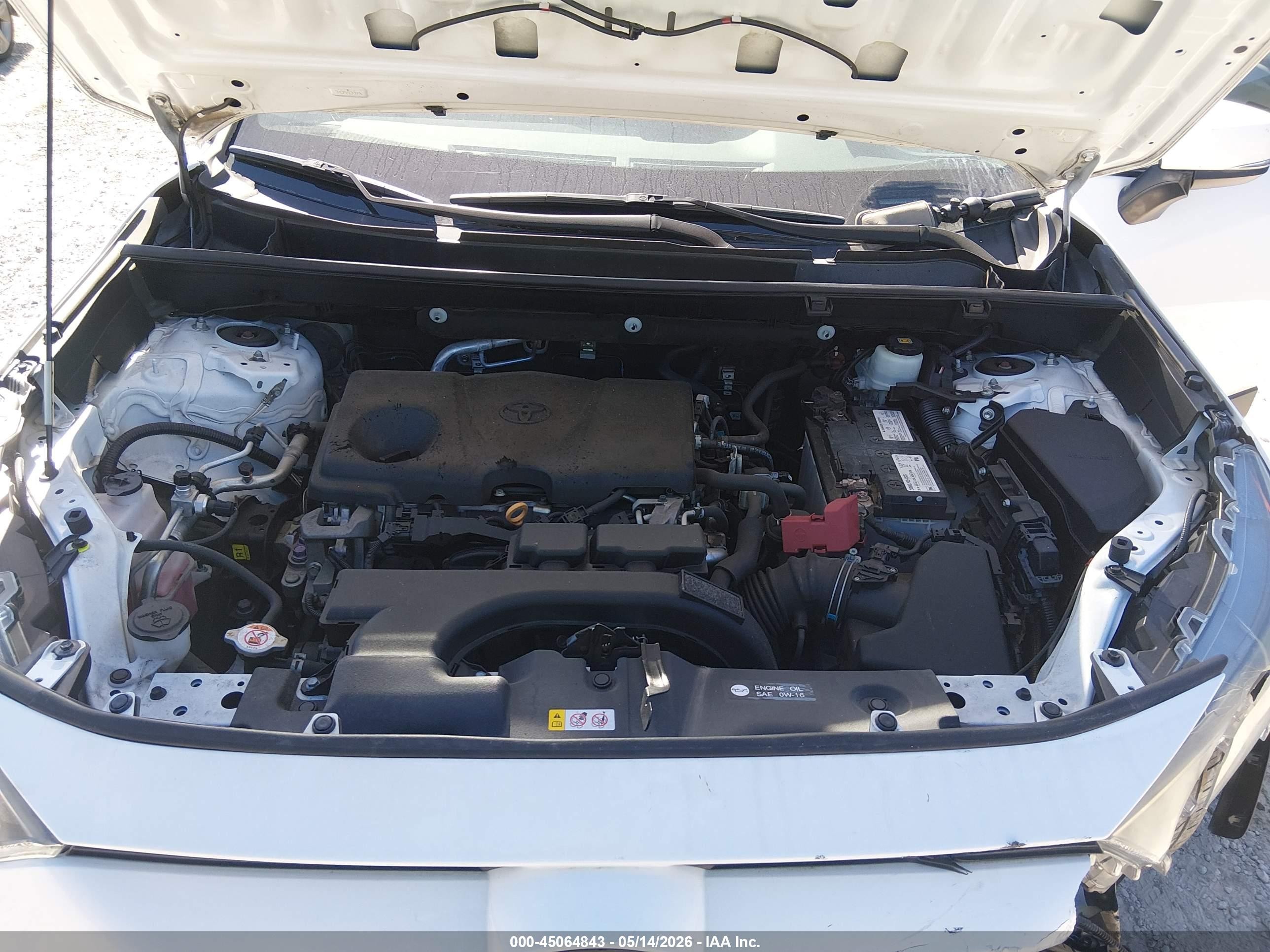 2019 Toyota Rav4 Le Белый vin: 2T3G1RFV8KW015945