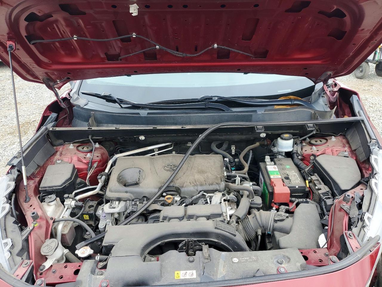 2019 Toyota Rav4 Le Red vin: 2T3H1RFV0KC008607