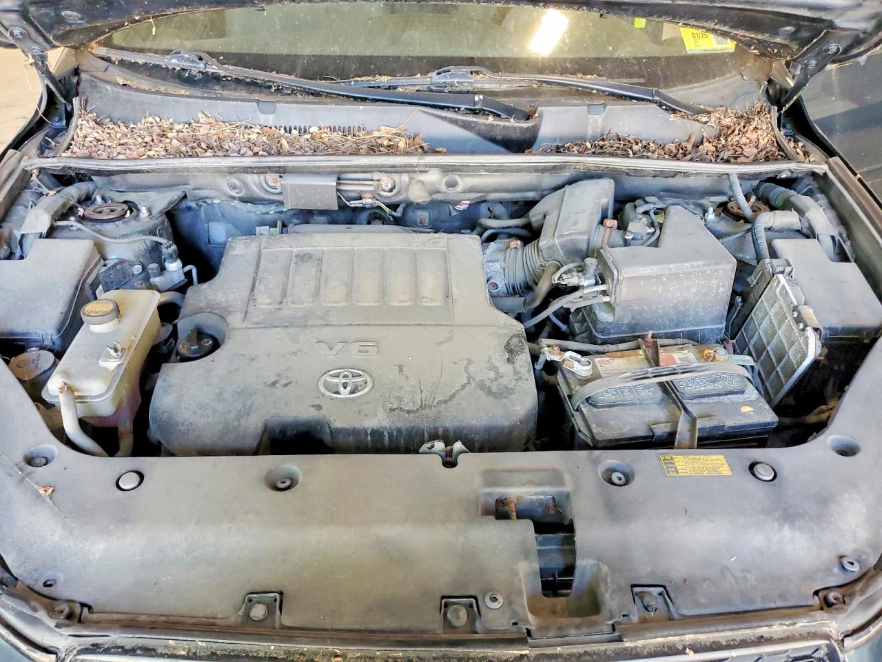 2011 Toyota Rav4 Base Green vin: 2T3JK4DV3BW047839