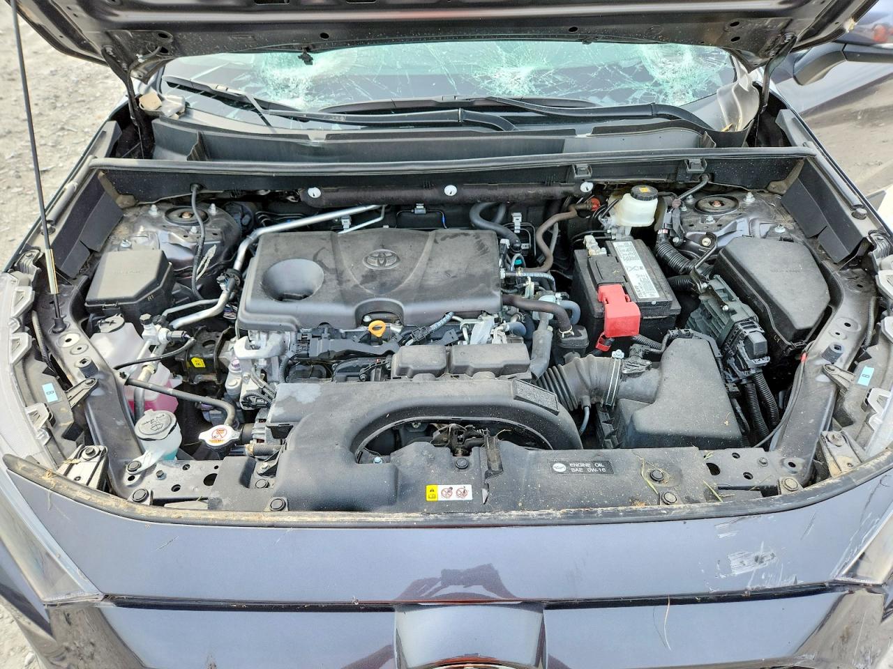 2019 Toyota Rav4 Le Charcoal vin: 2T3K1RFV1KW038834