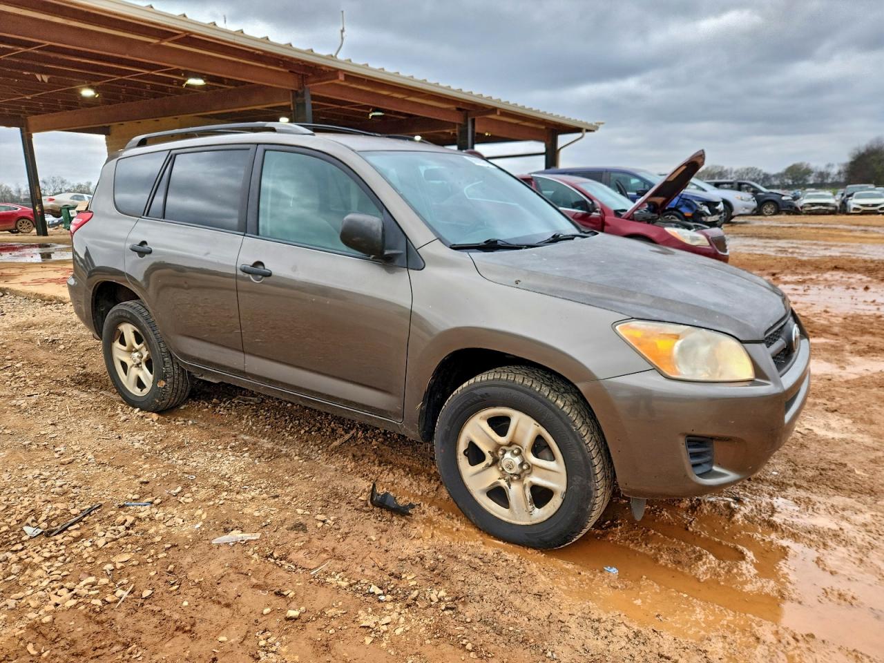 2011 Toyota Rav4 Brown vin: 2T3KF4DVXBW090356