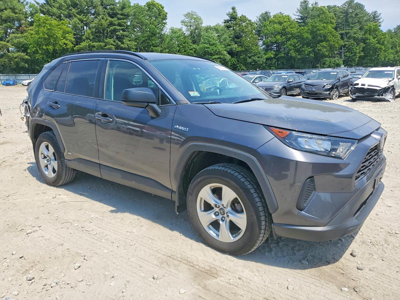 2019 Toyota Rav4 Le Gray vin: 2T3LWRFV6KW036020