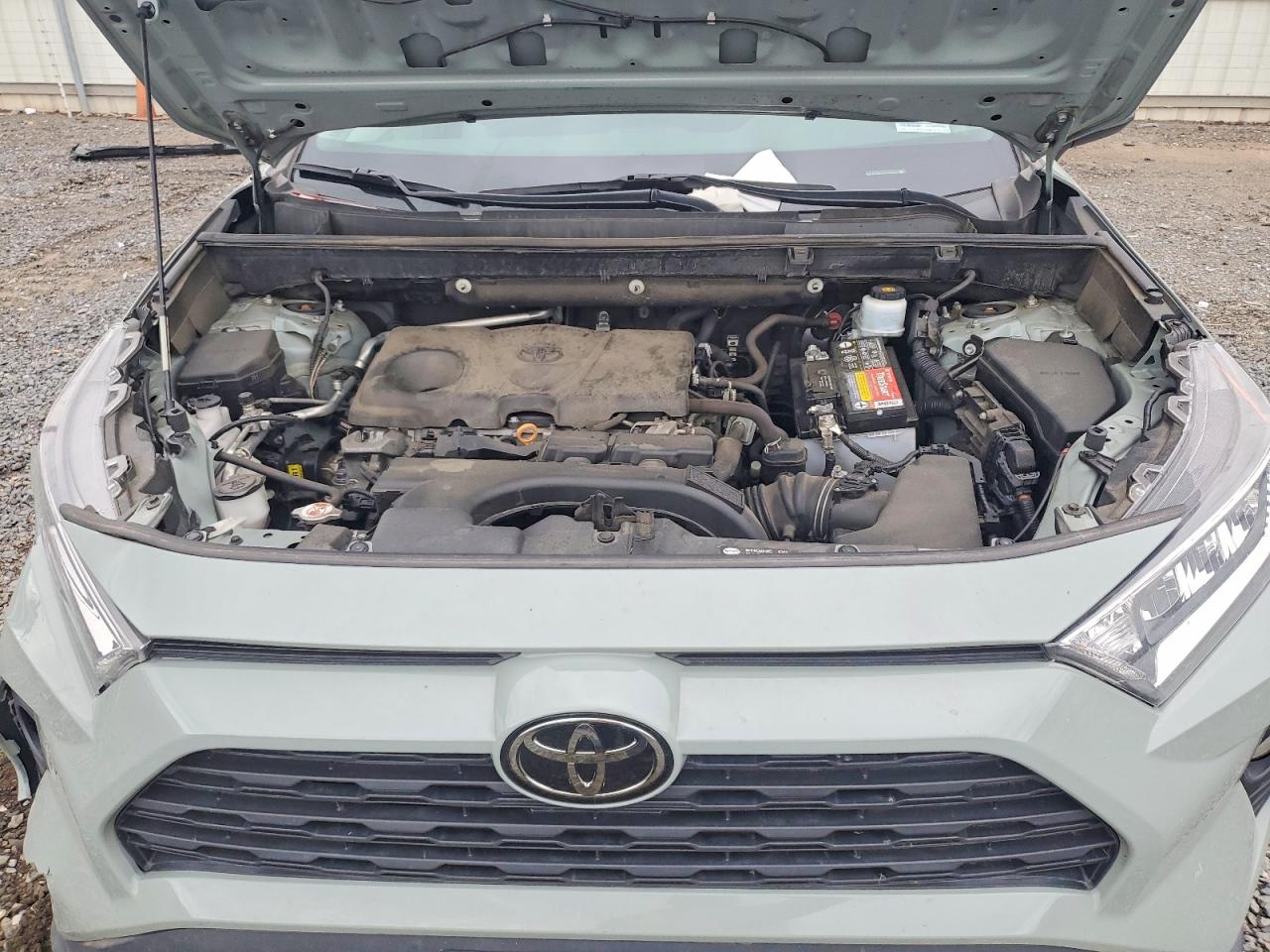 2019 Toyota Rav4 Xle Green vin: 2T3P1RFV2KC029213